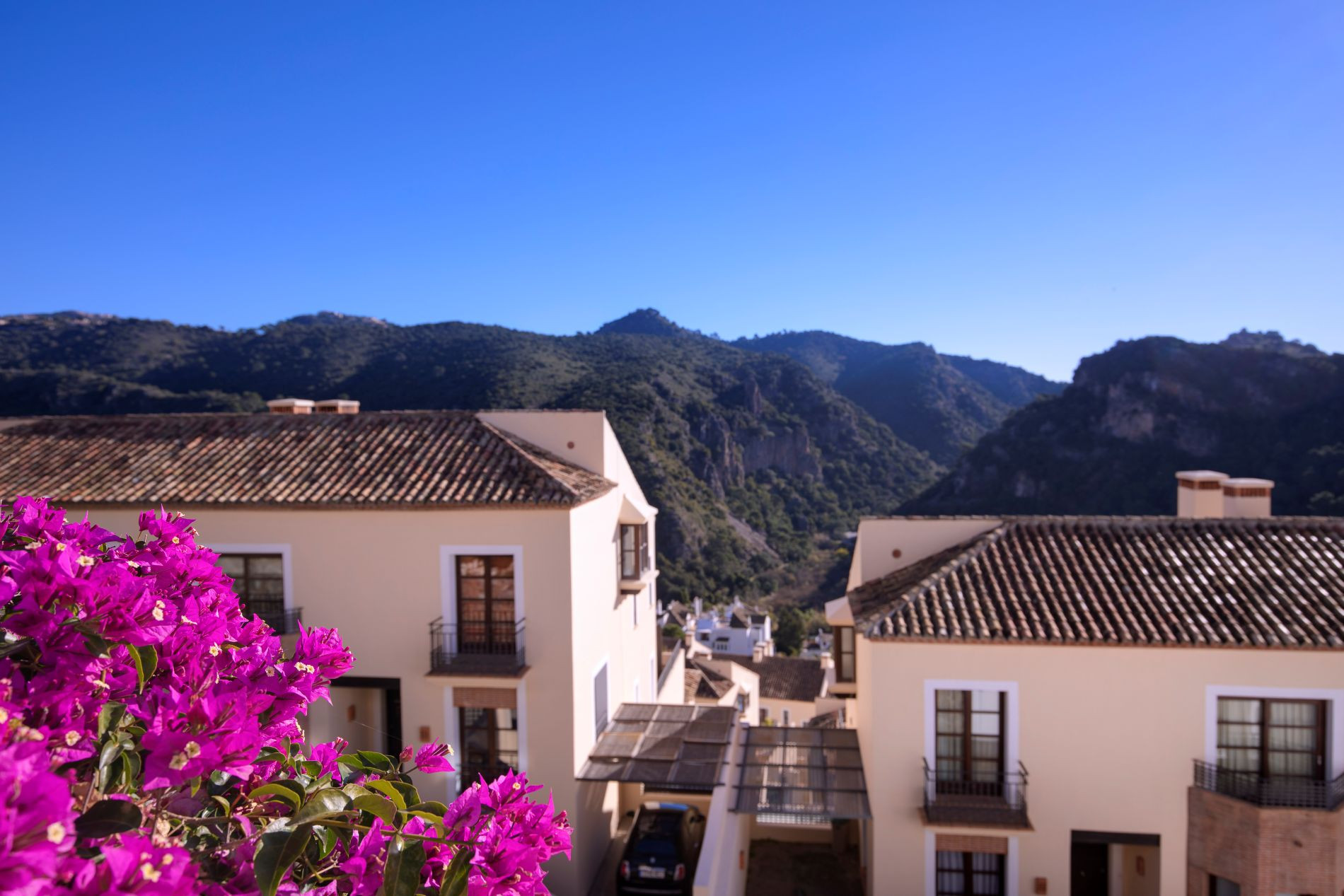 Benahavis